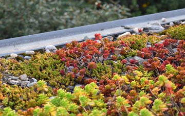 the cost of Barnardiston green roof installation