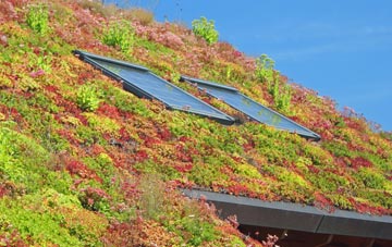 Barnardiston living roof systems