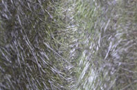 Barnardiston fibreglass roof work